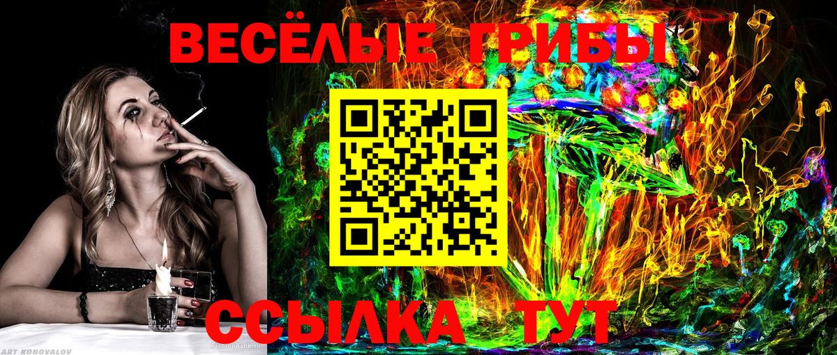 Галлюциногенные грибы GOLDEN TEACHER Сосновоборск