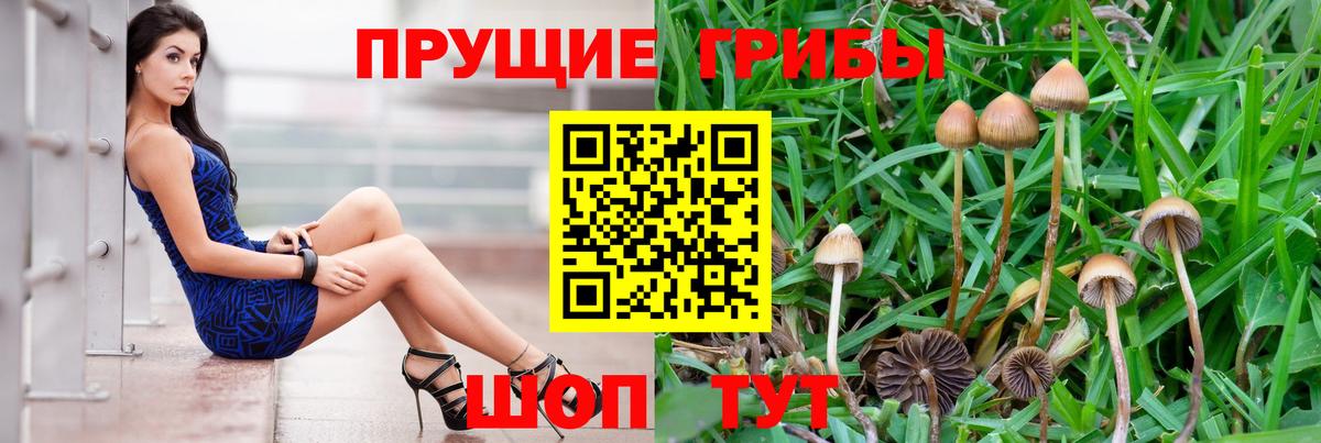 Псилоцибиновые грибы GOLDEN TEACHER  Галлюциногенные грибы мицелий  Сосновоборск  Вход с VPN 