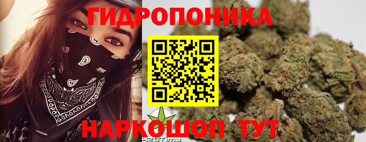 Марихуана SATIVA & INDICA  Шишки марихуана сатива  Сосновоборск  Вход с VPN  МАРИХУАНА SATIVA & INDICA 
